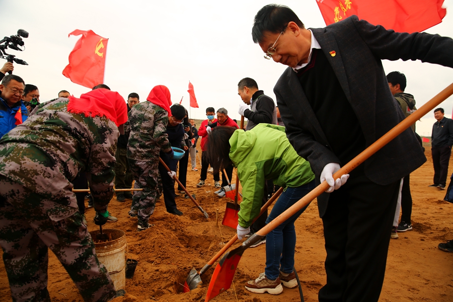 荒漠种植 (12)_副本.jpg