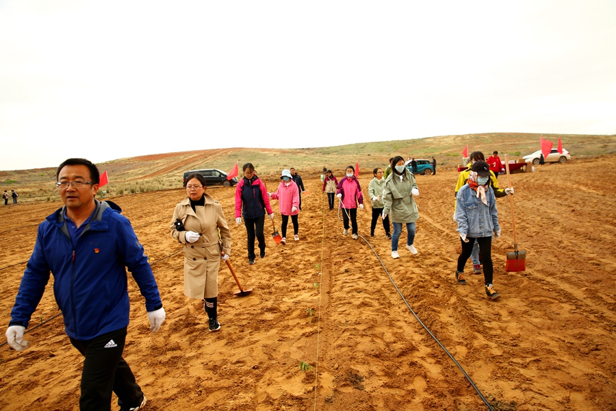 荒漠种植 (163)_副本.jpg